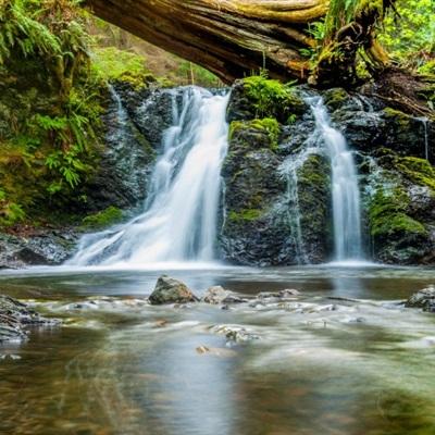 绿城服务：2025年收入191.64亿元，贸易及其他应收款58.93亿元