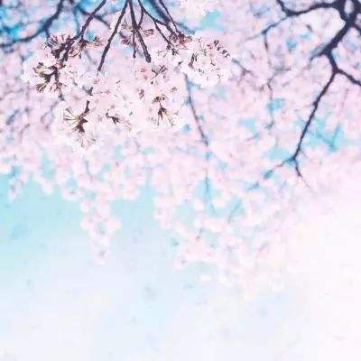 直击现场｜金瑞铭2026成都工博会...