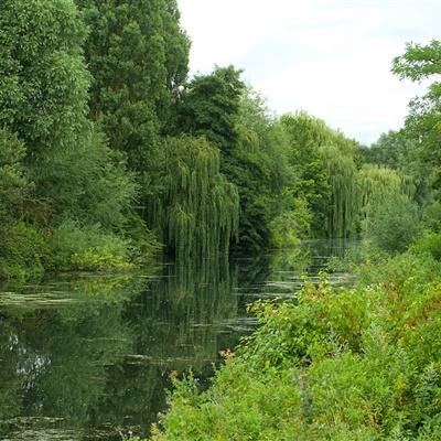 欧洲央行启动新一轮银行私募信贷敞口检查