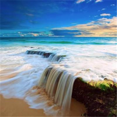 乐鱼体育app买球手机版